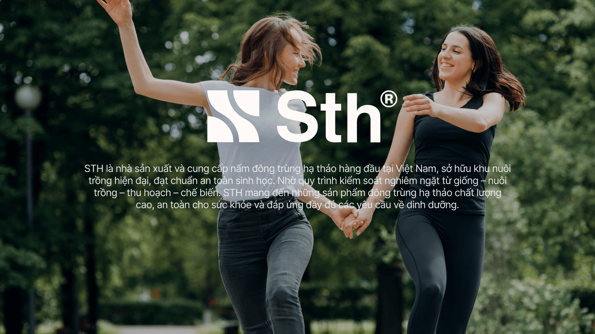 Tổng quan thương hiệu STH Việt Nam