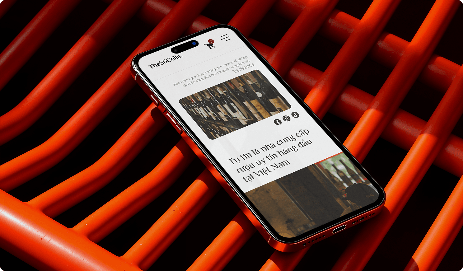 Dự án thiết kế UX/UI website The56Cellar