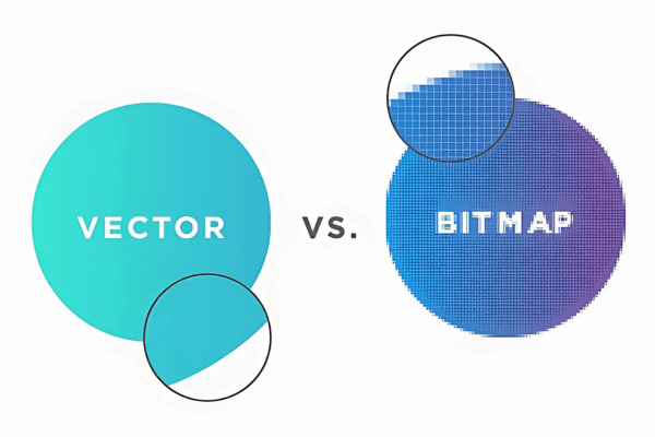 Đồ họa vector và bitmap là gì? So sánh đồ họa vector và bitmap