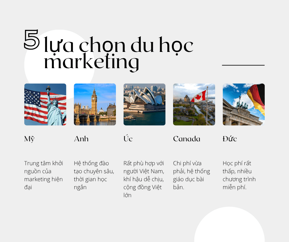 Có nên du học marketing không? Phân tích thực tế